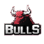 BULLS logo