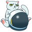 Cat Token logo