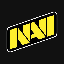 Natus Vincere Fan Token logo