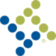 Tyler Technologies
 logo